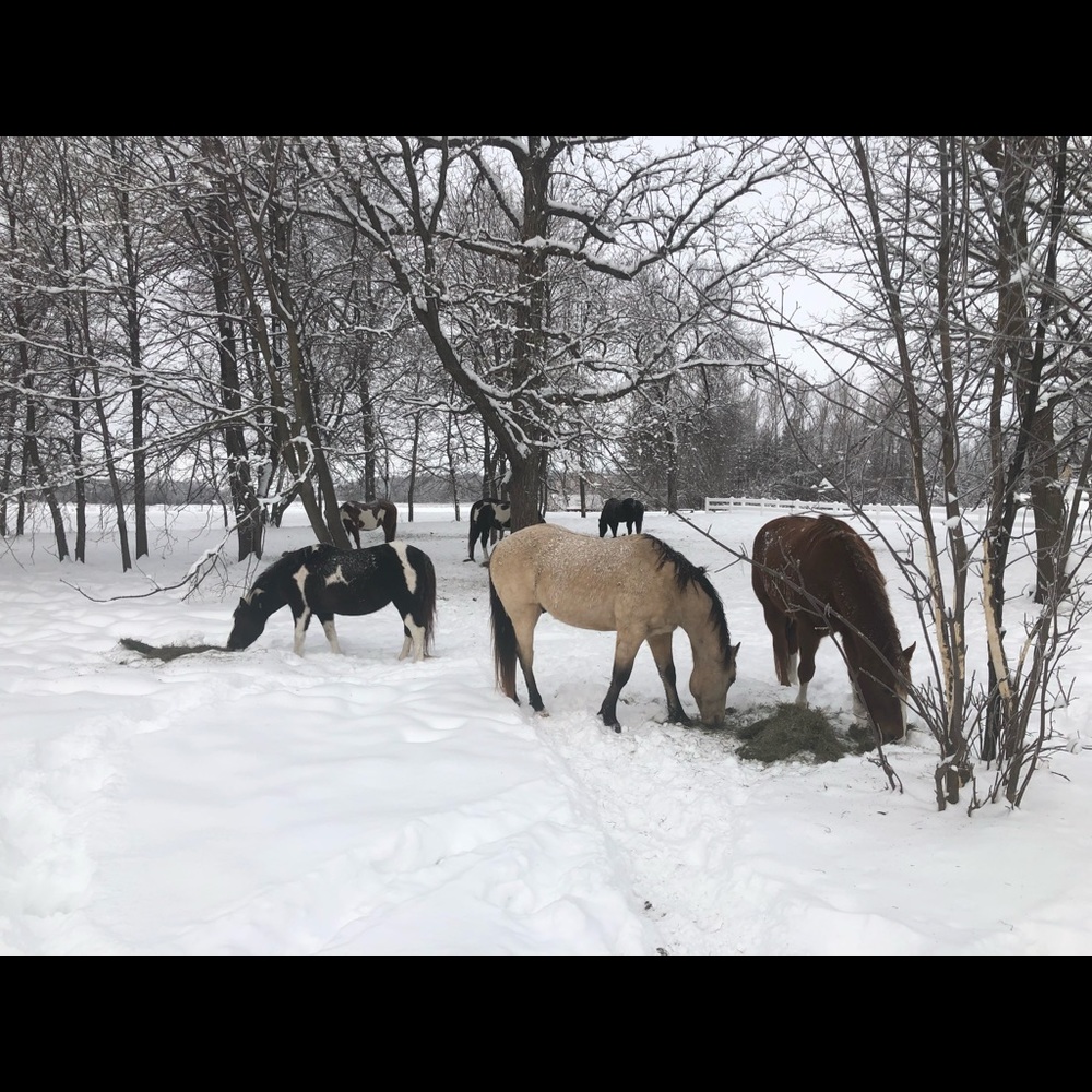 Meet your Posher, Mary